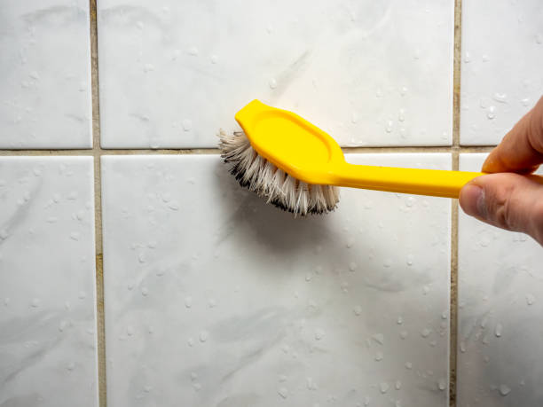 Office Mold Removal Services in Huntington Beach, CA
