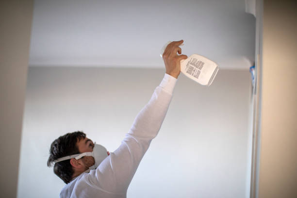 Attic Mold Removal in Huntington Beach, CA