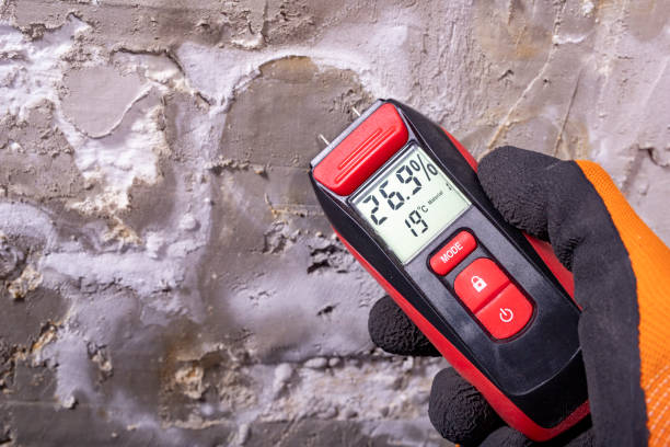 Best Residential Mold Removal  in Huntington Beach, CA
