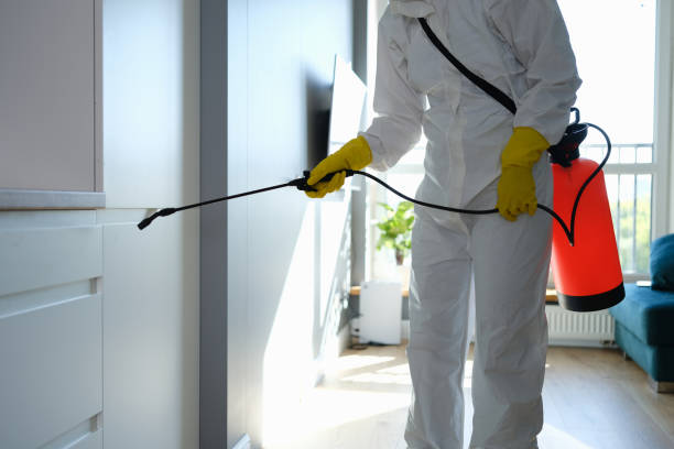 Best Commercial Mold Removal  in Huntington Beach, CA