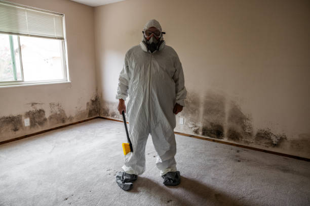 Mold Testing and Removal in Huntington Beach, CA